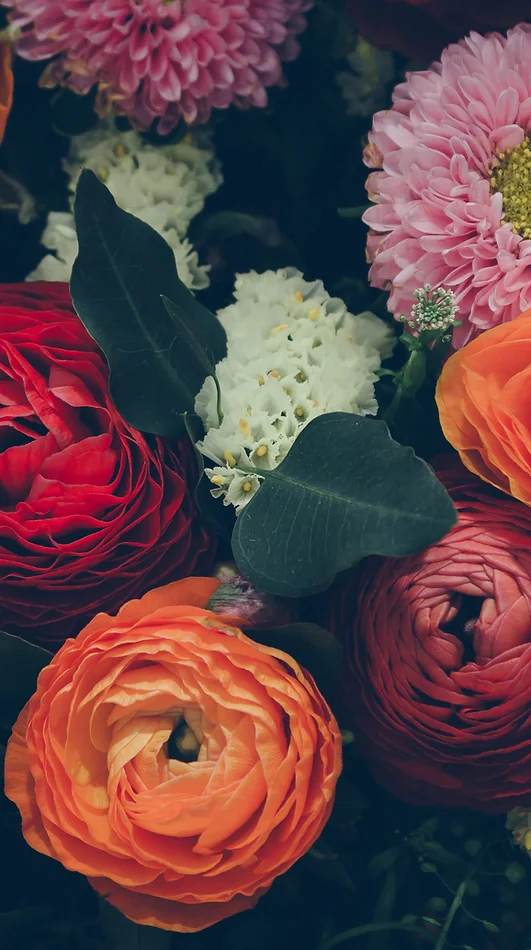 Colorful Flowers
